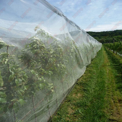 Anti Hail Net