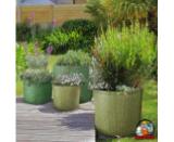 Pots & Grow Bag