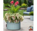 Planter Pots