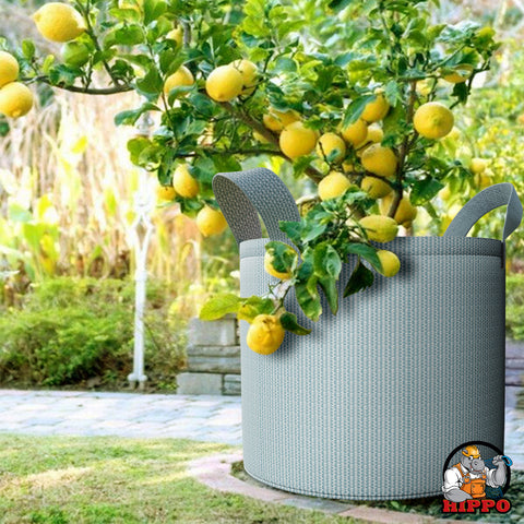 HIPPO Outdoor Grow Bags Pack of 2